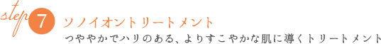 STEP7ソノイオントリートメント