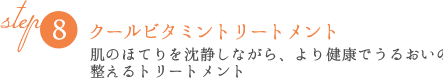 STEP8クールビタミントリートメント